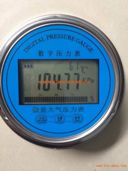 “沈阳存储型数字压力表原理“/