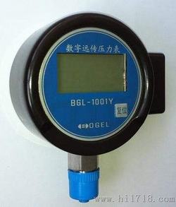 “泉州数显压力表0-160“/