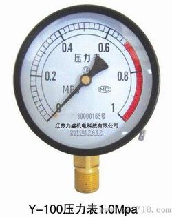 “长春宁夏标准数字压力表“/