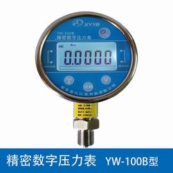 “带模拟量输出的数字压力表“/