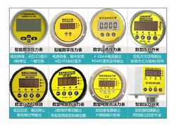“杭州DC3230数显压力表“/