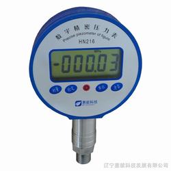 “乌鲁木齐数字压力表无法归零“/