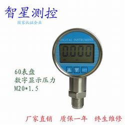 “武汉数显气压力表“/