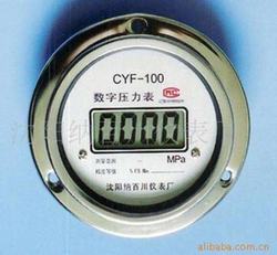 “大庆HOLD-100精密数字压力表“/